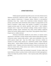 Rinkimų teisė 14 puslapis