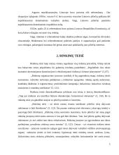 Rinkimų teisė 5 puslapis