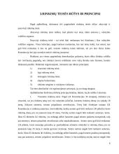 Rinkimų teisė 6 puslapis