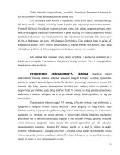 Rinkimų teisė 10 puslapis