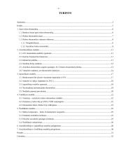 Rinkos ekonomikos modeliai 2 puslapis