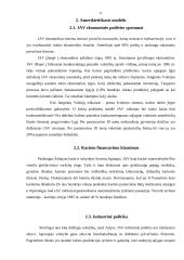 Rinkos ekonomikos modeliai 11 puslapis