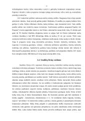 Rinkos ekonomikos modeliai 12 puslapis