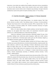 Rinkos ekonomikos modeliai 13 puslapis
