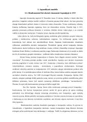 Rinkos ekonomikos modeliai 17 puslapis