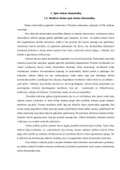 Rinkos ekonomikos modeliai 6 puslapis