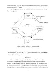 Rinkos sąvoka 2 puslapis