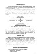 Robotai ir intelektinis valdymas 12 puslapis