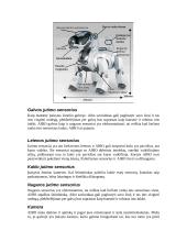 Robotai ir šuniukas AIBO 13 puslapis