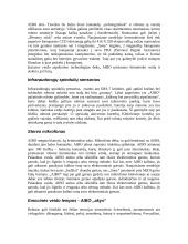 Robotai ir šuniukas AIBO 14 puslapis