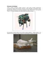 Robotai ir šuniukas AIBO 7 puslapis