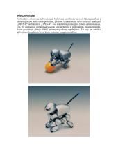 Robotai ir šuniukas AIBO 8 puslapis