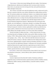 Romanų-germanų teisinė sistema 10 puslapis