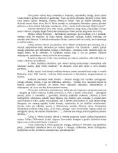 Salomėja Nėris 3 puslapis