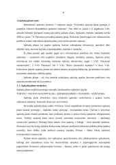 Sąskaitų plano esmė 2 puslapis