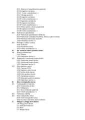 Sąskaitų plano esmė 12 puslapis