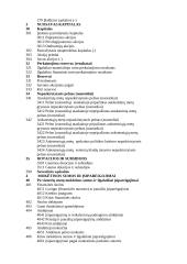 Sąskaitų plano esmė 13 puslapis