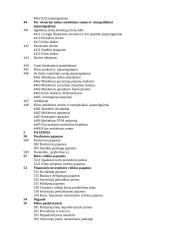 Sąskaitų plano esmė 14 puslapis