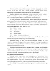 Sąskaitų plano esmė 4 puslapis