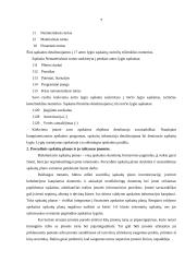 Sąskaitų plano esmė 5 puslapis