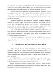 Savanoriškos organizacijos 5 puslapis