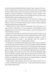 Sąveikos bendraamžių grupėse problemos, rūšys, korekcija 13 puslapis