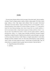 Sąveikos bendraamžių grupėse problemos, rūšys, korekcija 3 puslapis