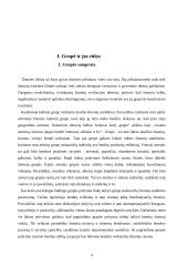 Sąveikos bendraamžių grupėse problemos, rūšys, korekcija 4 puslapis