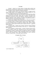 Saviugdos rūšys 3 puslapis