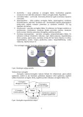 Saviugdos rūšys 5 puslapis