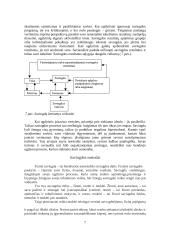 Saviugdos rūšys 7 puslapis