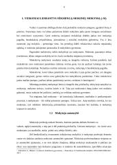 Sėkmingas mokinių mokymasis 4 puslapis