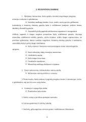 Sezoninės darbo sutartys 6 puslapis