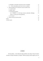 Situacijos analizė: skurdo problema ir vieniša senatvė 2 puslapis