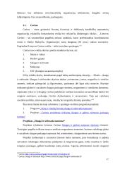 Situacijos analizė: skurdo problema ir vieniša senatvė 17 puslapis