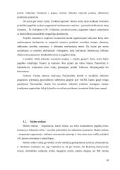 Situacijos analizė: skurdo problema ir vieniša senatvė 18 puslapis