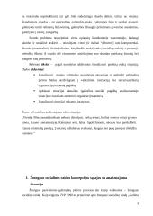 Situacijos analizė: skurdo problema ir vieniša senatvė 3 puslapis