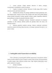 Situacijos analizė: skurdo problema ir vieniša senatvė 5 puslapis