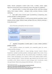 Situacijos analizė: skurdo problema ir vieniša senatvė 7 puslapis