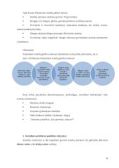 Situacijos analizė: skurdo problema ir vieniša senatvė 8 puslapis