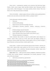 Situacijos analizė: skurdo problema ir vieniša senatvė 9 puslapis