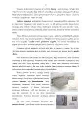 Skaitmeniniai fotoaparatai ir skaitmeninės nuotraukos 13 puslapis