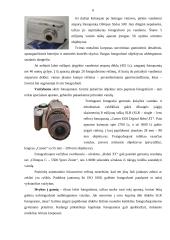 Skaitmeniniai fotoaparatai ir skaitmeninės nuotraukos 6 puslapis