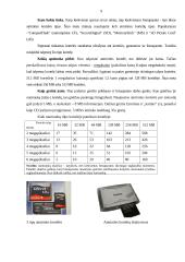 Skaitmeniniai fotoaparatai ir skaitmeninės nuotraukos 9 puslapis