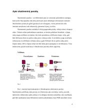 Skaitmeninio parašo infrastruktūros 3 puslapis