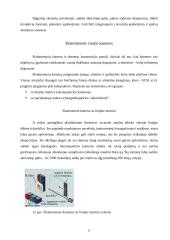 Skeneriai ir skenavimas 12 puslapis