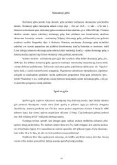 Skeneriai ir skenavimas 14 puslapis