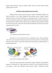 Skeneriai ir skenavimas 8 puslapis