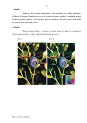 Skeneriai. Informacija vartotojui 11 puslapis