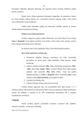 Skeneriai. Informacija vartotojui 14 puslapis